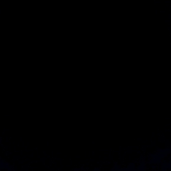 Meet your Posher, Trace - Picture 1 of 1